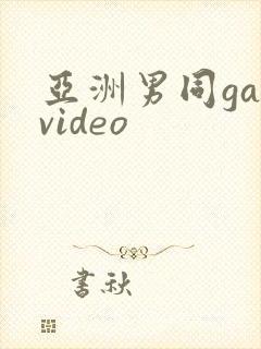 亚洲男同gayvideo