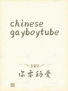 chinesegayboytube