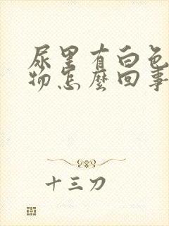 尿里有白色沉淀物怎么回事