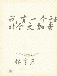 我有一个秘密txt全文加番外