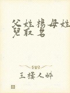 父姓杨母姓陈娃儿取名