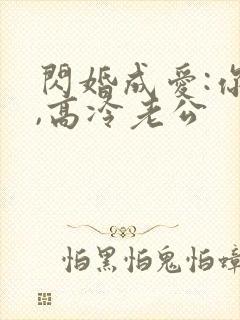 闪婚成爱:你好,高冷老公