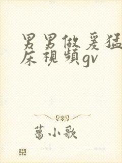 男男做爰猛烈叫床视频gv