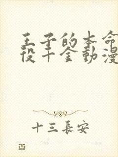 王子的本命是恶役千金动漫视频免费看