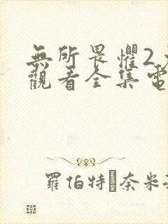 无所畏惧2免费观看全集电视剧高清版