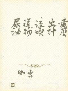 尿道流出黄绿分泌物吃什么药