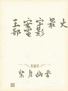 王安宇最火的三部电影