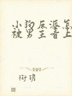 小狗反派怎么又被男主看上啦