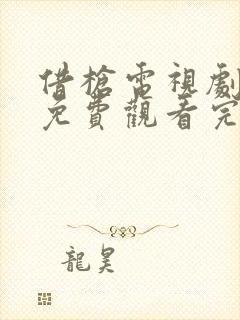 借枪电视剧全集免费观看完整版封面