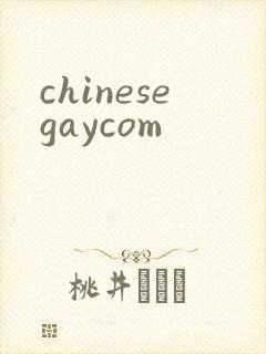 chinesegaycom