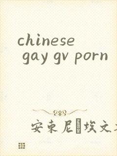 chinese gay gv porn
