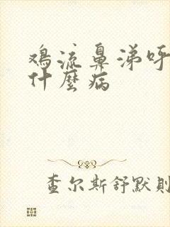 鸡流鼻涕呼噜是什么病封面