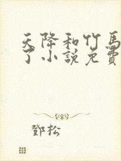 天降和竹马he了小说免费阅读