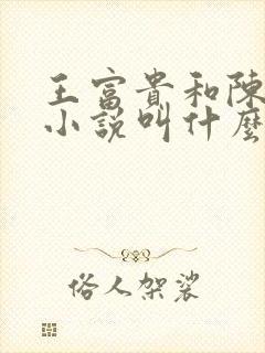 王富贵和陈芸的小说叫什么