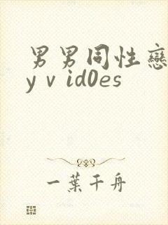 男男同性恋gayⅴid0es