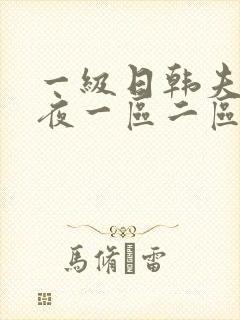 一级日韩夫妻午夜一区二区三区