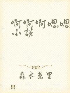 啊啊啊嗯嗯嗯h小说