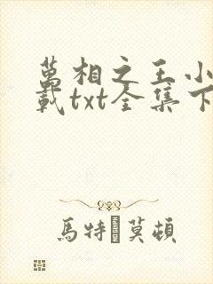 万相之王小说下载txt全集下载封面