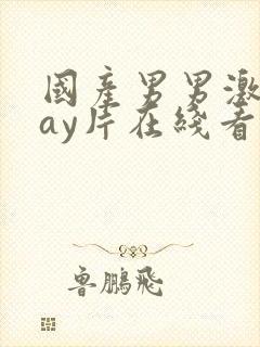 国产男男激情gay片在线看