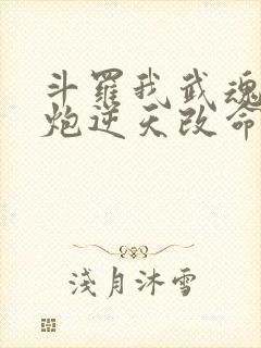 斗罗我武魂罗三炮逆天改命