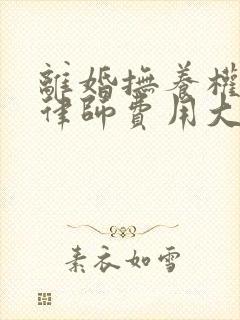 离婚抚养权起诉律师费用大概要多少