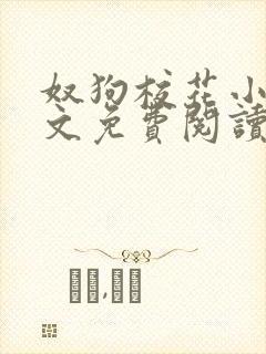 奴狗校花小说全文免费阅读