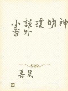小说琼明神女录番外