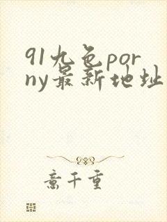 91九色porny最新地址