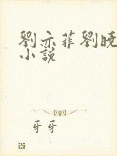 刘亦菲刘晓莉双小说