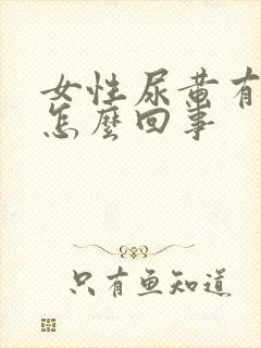 女性尿黄有泡沫怎么回事封面