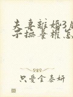 夫妻离婚3岁孩子抚养权怎么判定封面