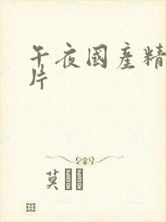 午夜国产精品看片