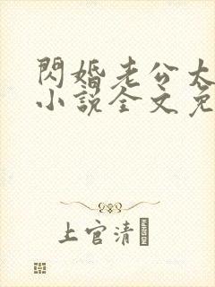 闪婚老公太凶猛小说全文免费阅读封面