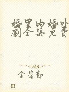 婚里内婚外电视剧全集免费观看