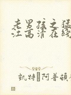 老男孩之猛龙过江高清在线观看