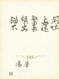 猫频繁上厕所尿不出来还吐