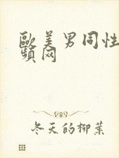 欧美男同性恋视频网