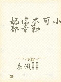 妃你不可小说全部章节