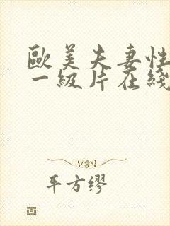 欧美夫妻性生活一级片在线播放