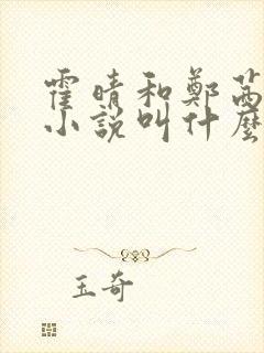 霍晴和郑茜飞的小说叫什么名字