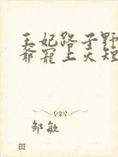 王妃路子野,王爷宠上天短剧免费观看