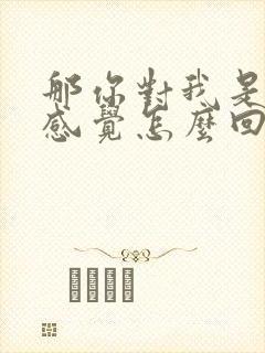 那你对我是什么感觉怎么回复他