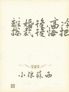 离婚后,高冷女总裁后悔把封面