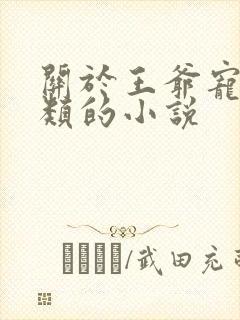 关于王爷宠王妃类的小说