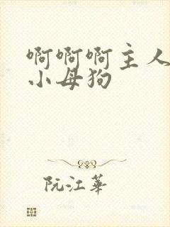 啊啊啊主人操死小母狗