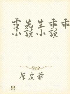 霍先生乖乖宠我小说小说