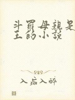 斗罗母亲是银龙王的小说