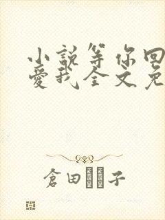 小说等你回眸说爱我全文免费阅读