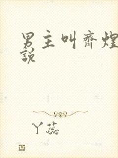 男主叫齐煜的小说