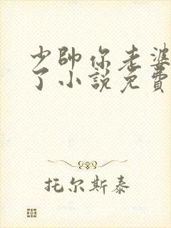 少帅你老婆又跑了小说免费阅读